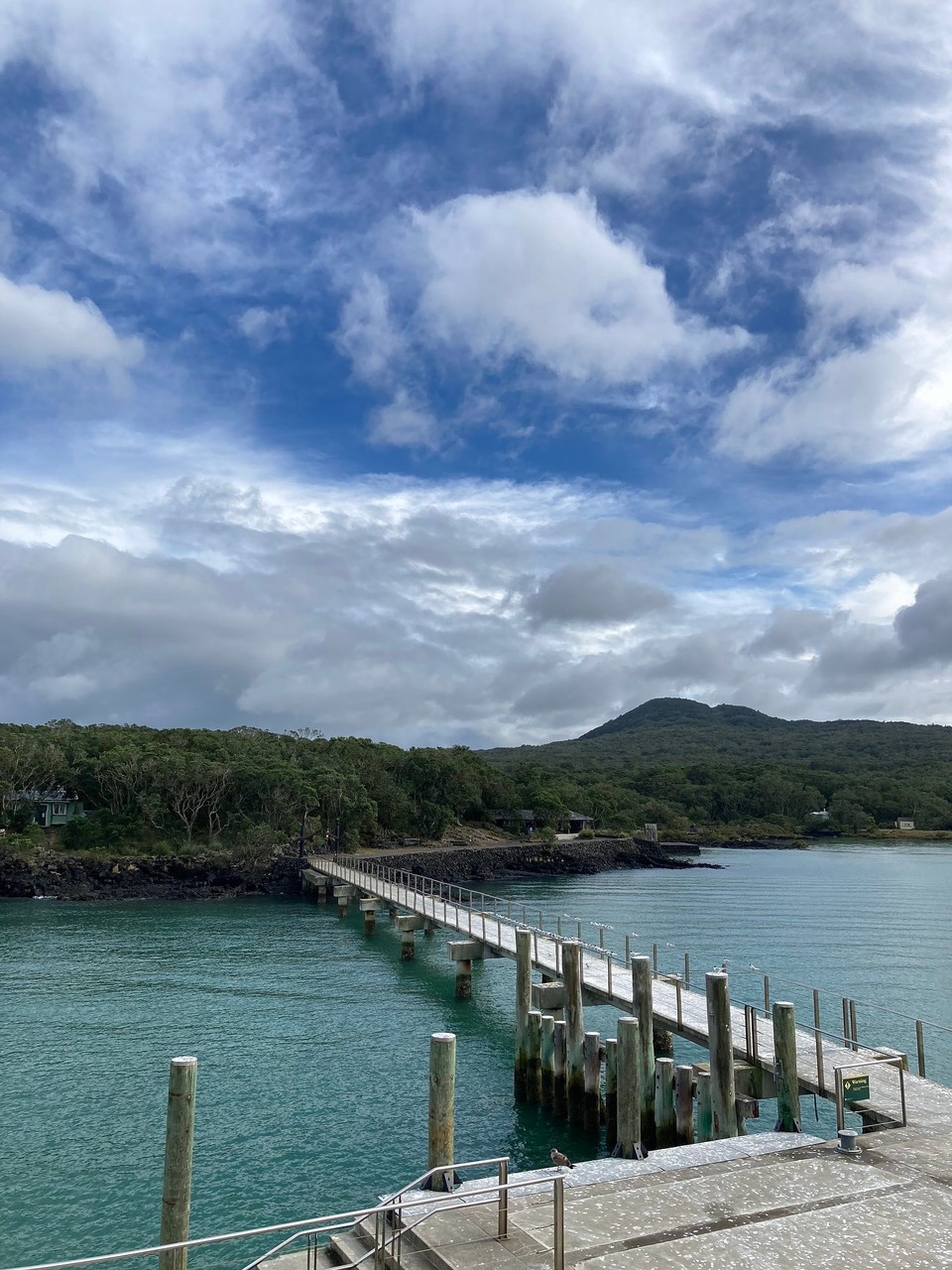 Neuseeland - Waitemata and Gulf Ward - Nach Rangitoto Island 