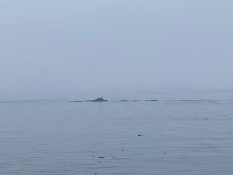 Kanada - Mount Waddington D - 