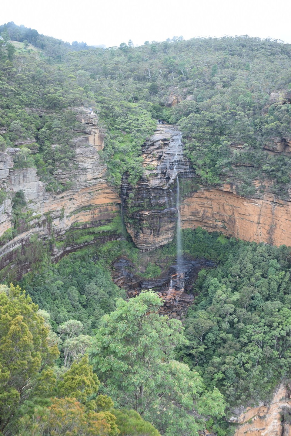 Australien - Wentworth Falls - Wentworth Falls