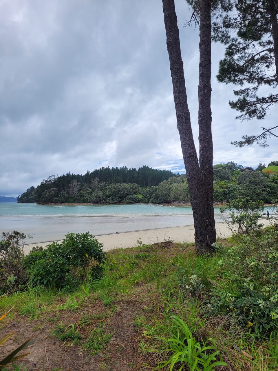Neuseeland - Cooks Beach - 