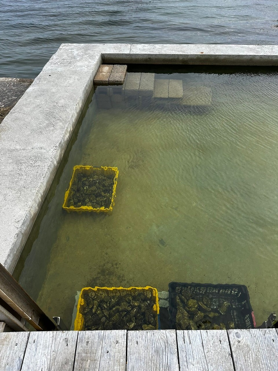 Frankreich - Plouharnel - 