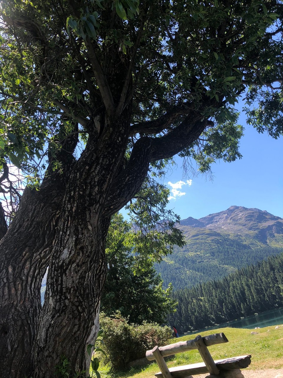 Schweiz - St. Moritz - 