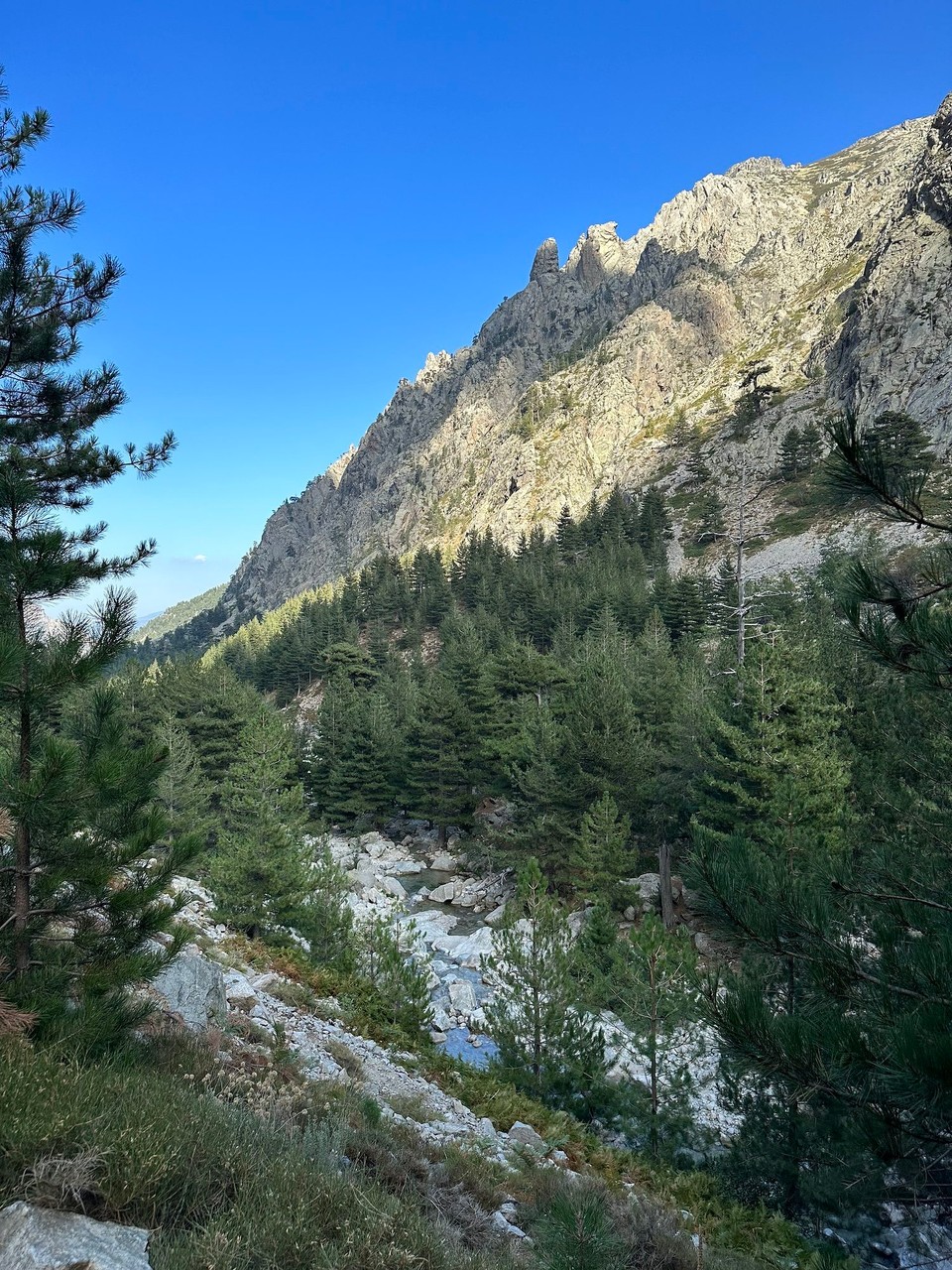 Frankreich - Corte - 