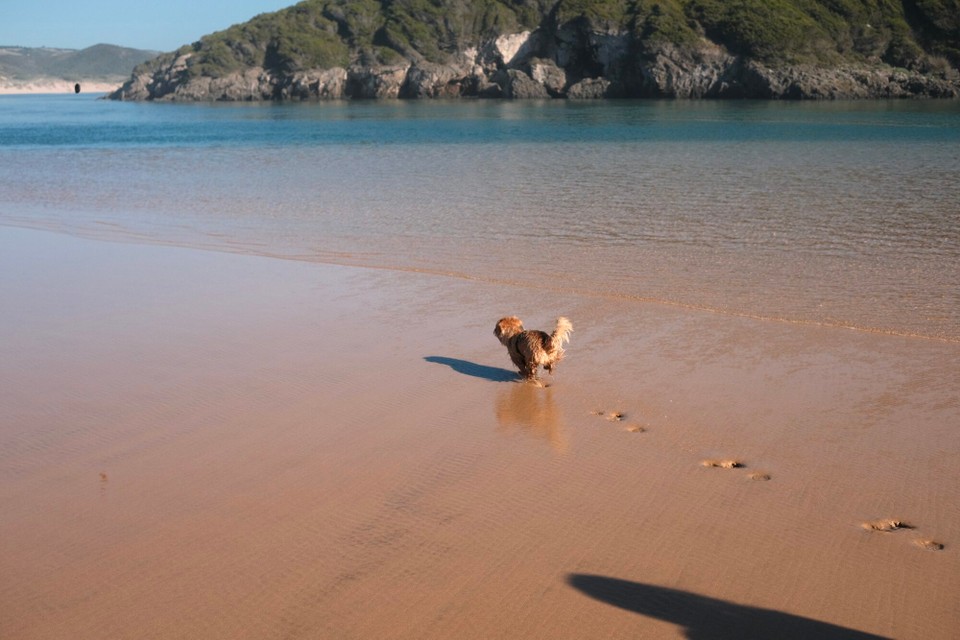 Portugal - Aljezur - 