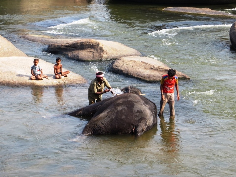 Indien - Hampi - Elefantenwaesche