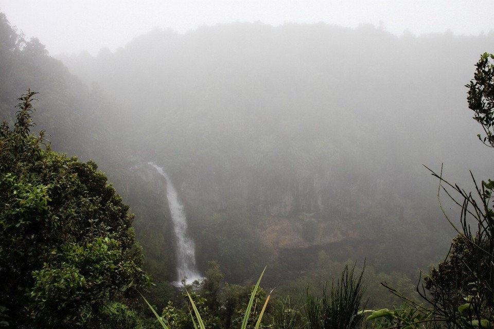 Neuseeland -  - ...den Pawson Falls 