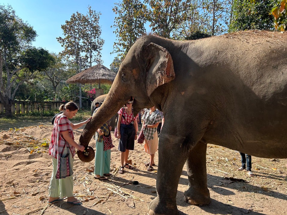 Thailand - Chiang Mai - 