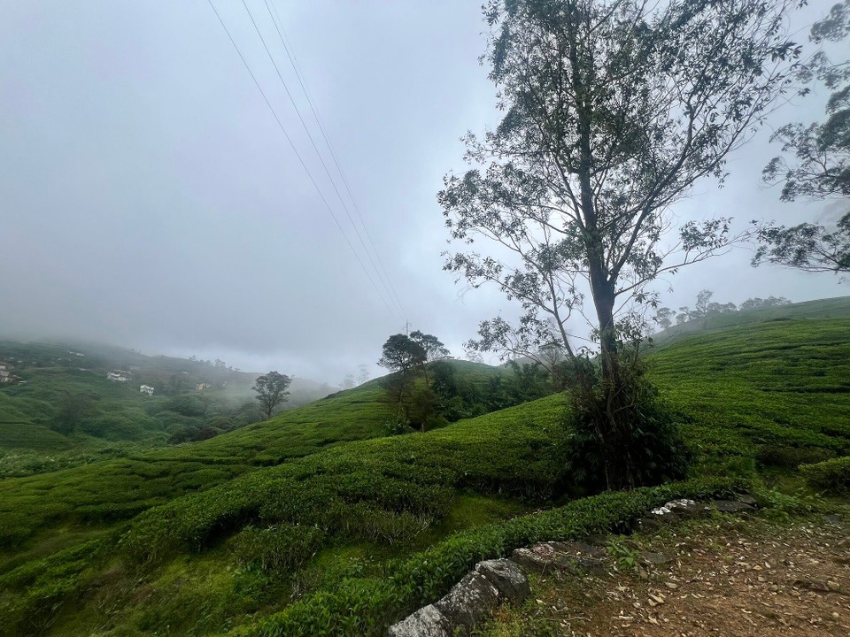 Sri Lanka -  - 