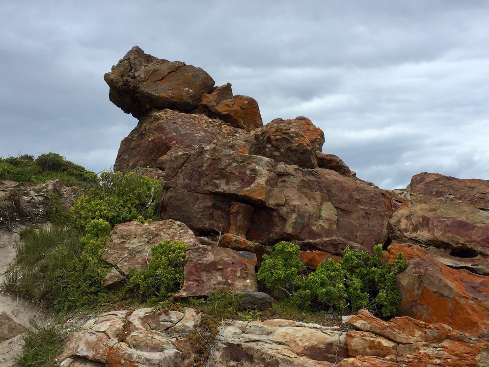  - Südafrika, Plettenberg Bay, 6600 - 