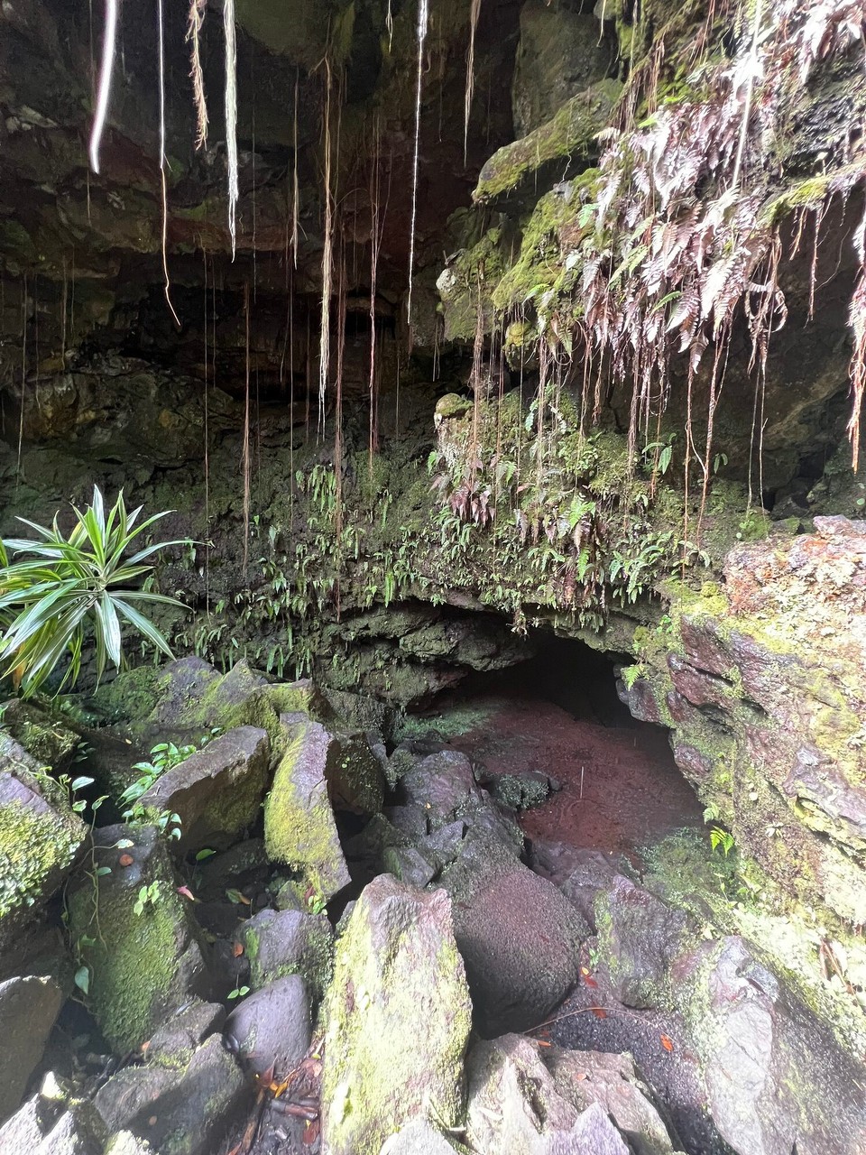 Vereinigte Staaten - Hilo - 