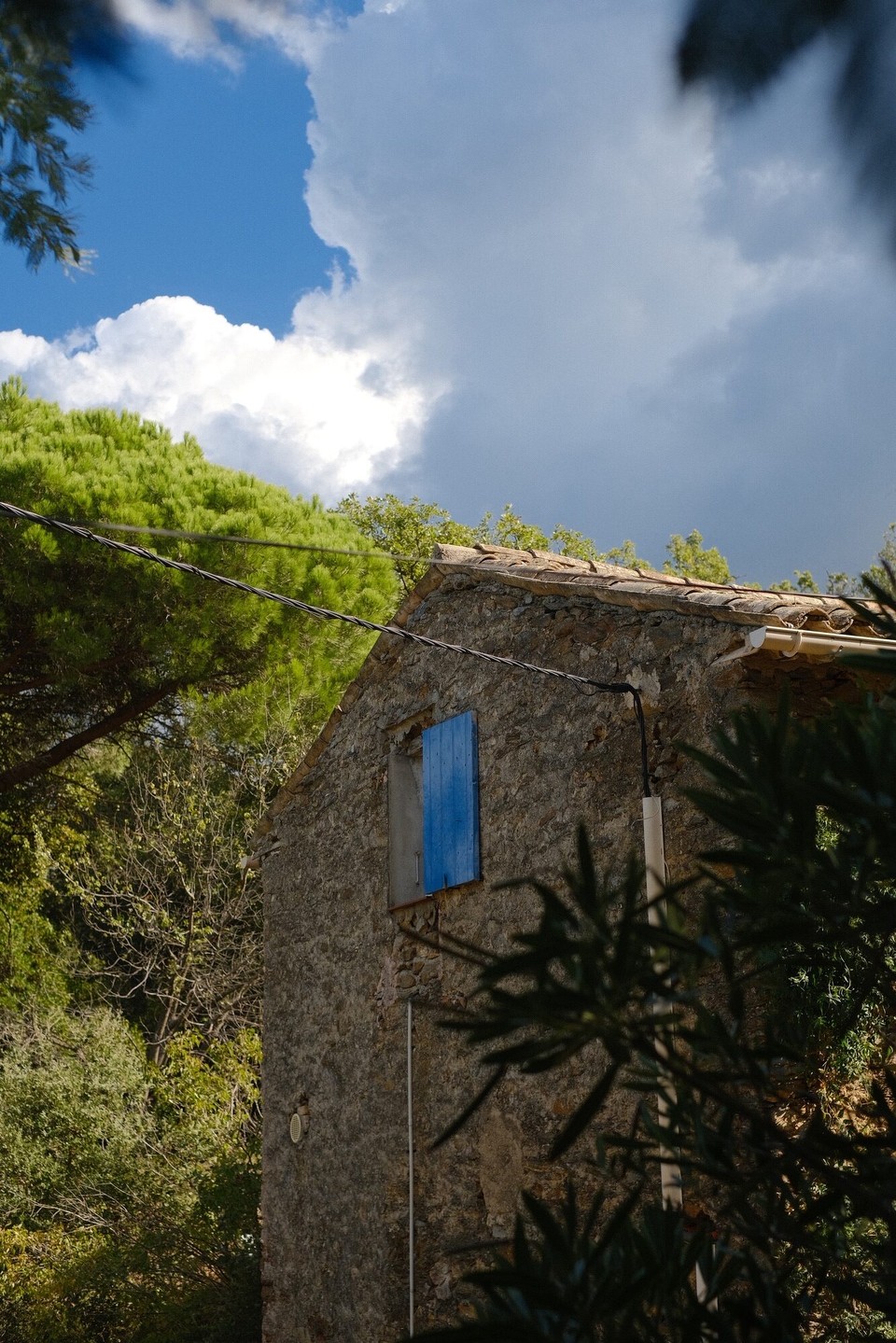 Frankreich - La Garde-Freinet - 