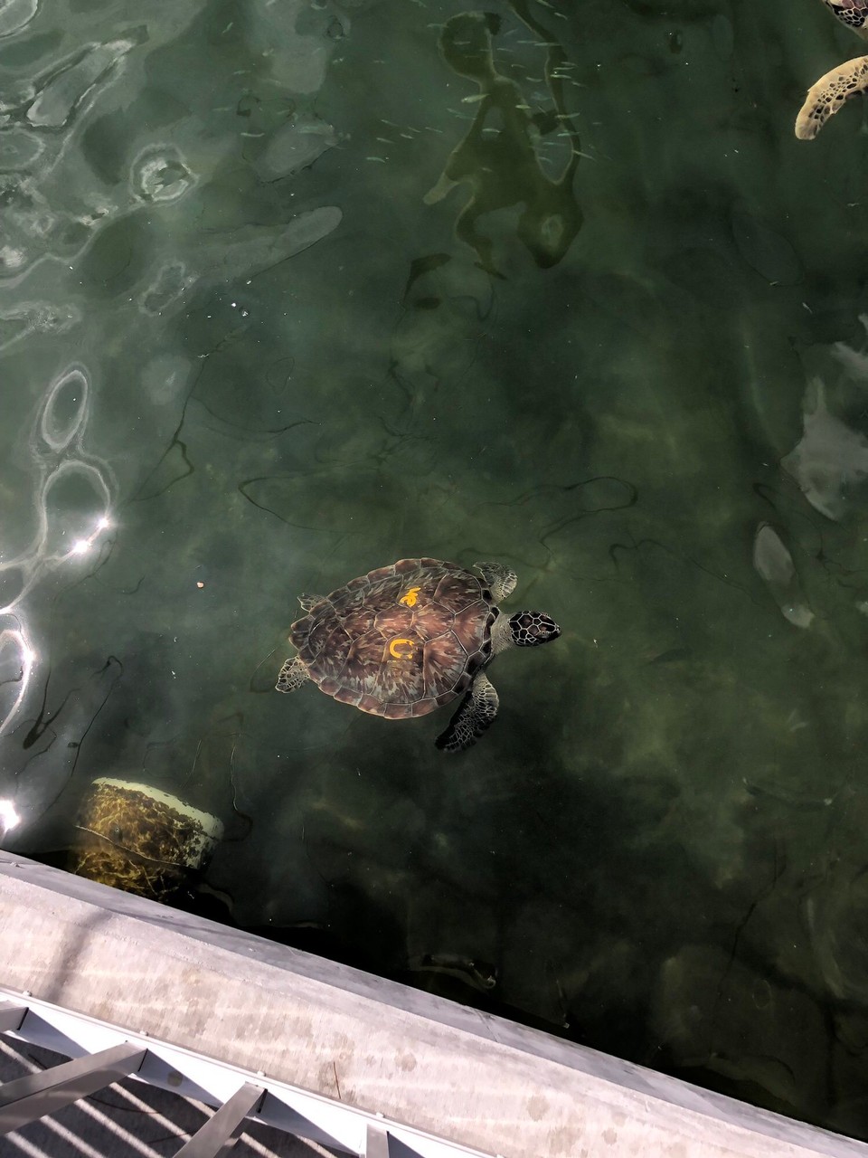 Vereinigte Staaten - Key West - 