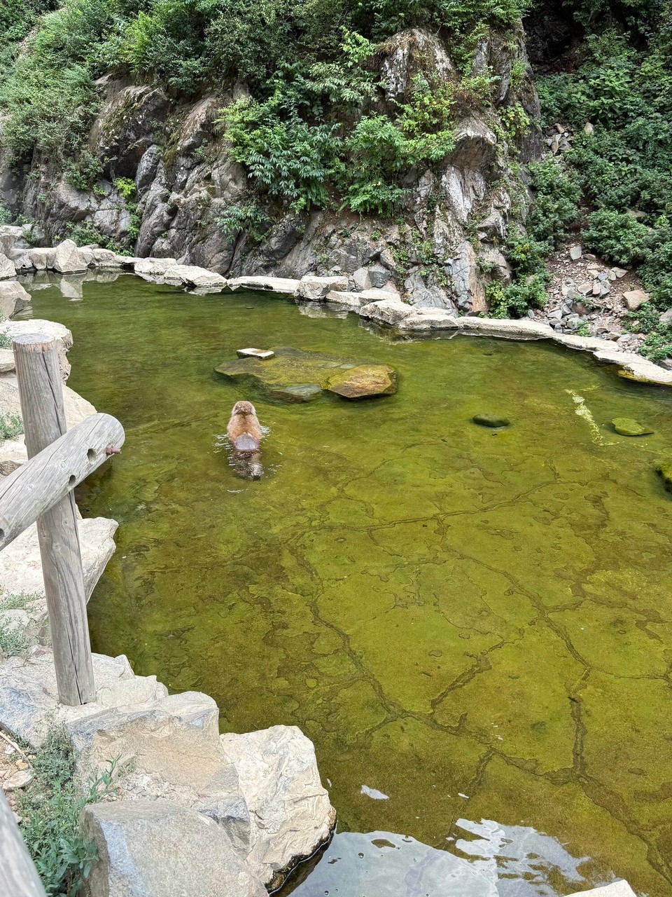 Japan - Yamanochi - Badezeit