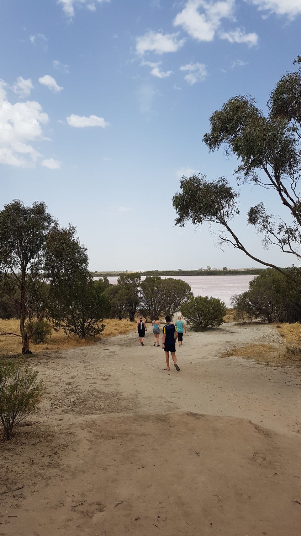 Australien - Adelaide - Pink Lake