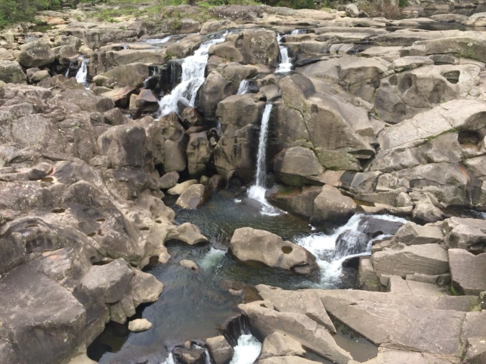  - Neuseeland, Lower Kaimai, McLaren Falls - 