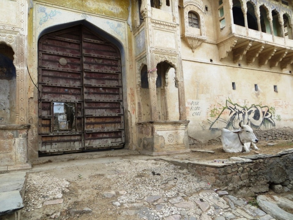 India - Pushkar - 