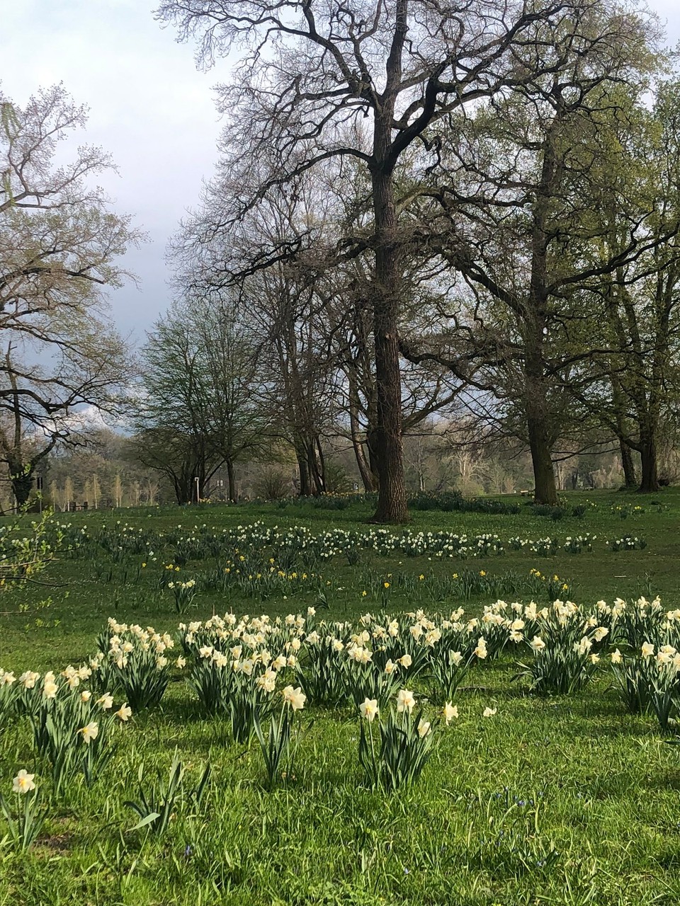 Deutschland - Ludwigshafen - Unser Stadtpark