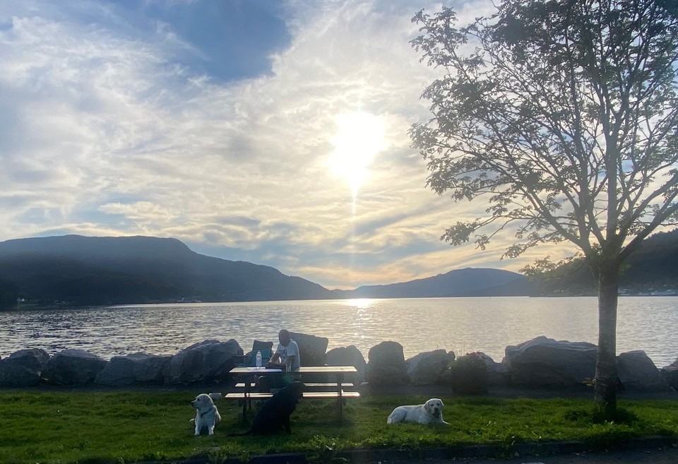 Norwegen - Eikelandsosen - 