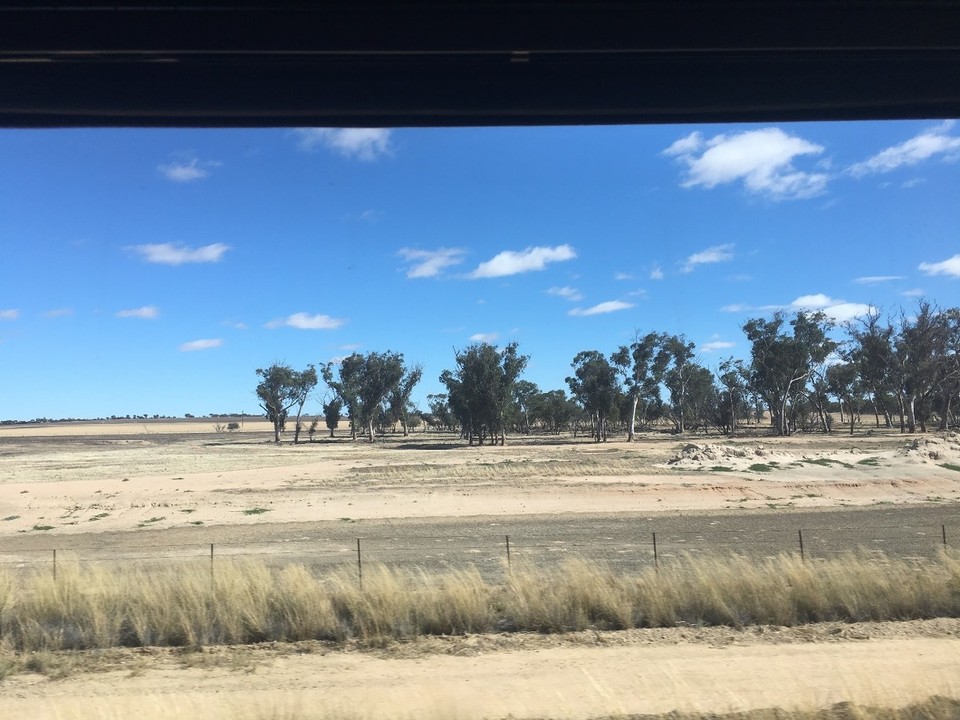Australien - Perth - Getreidefelder soweit das Auge reicht..