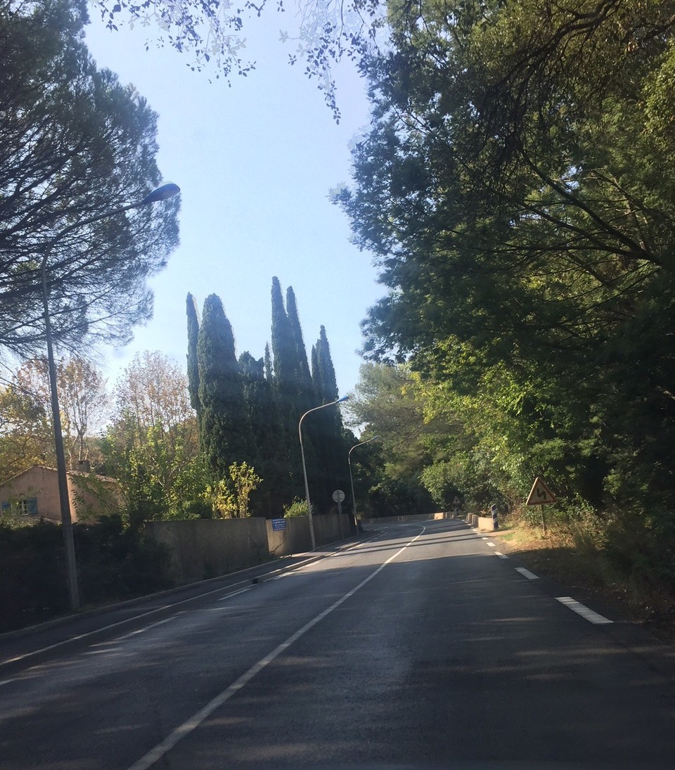 Frankreich - Rayol-Canadel-sur-Mer - Tolle Fahrt durch unberührte Wälder 😀