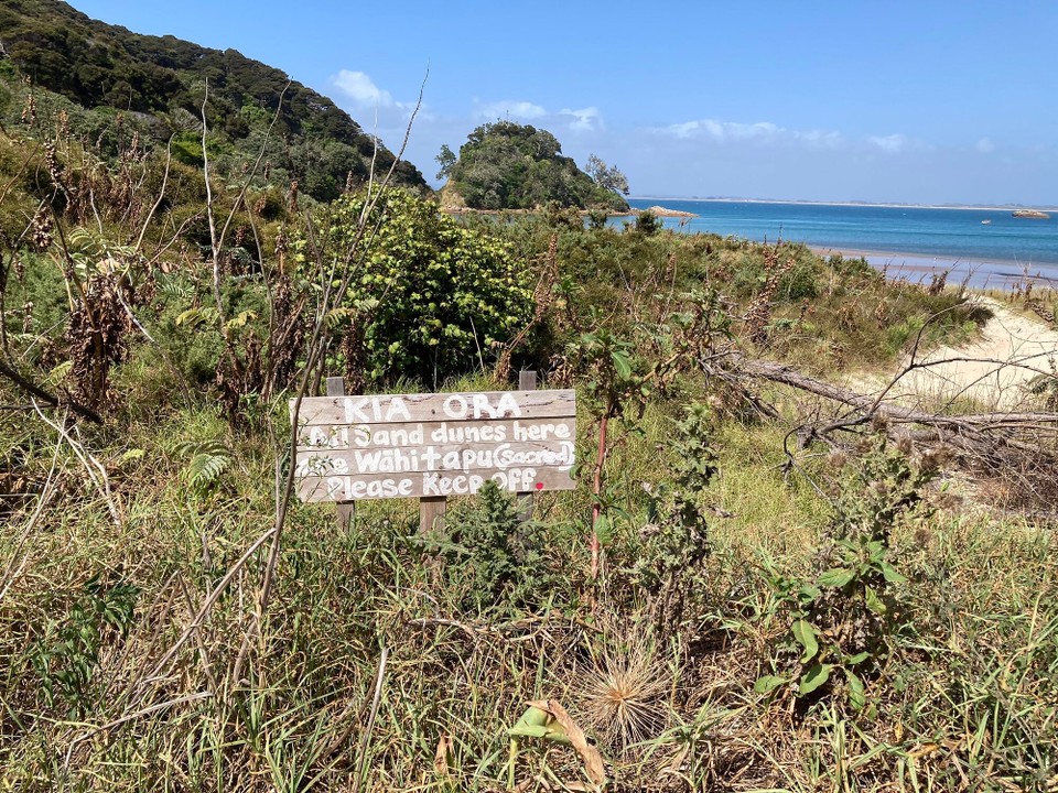 Neuseeland -  - Ein Sanddünenfriedhof 🤔