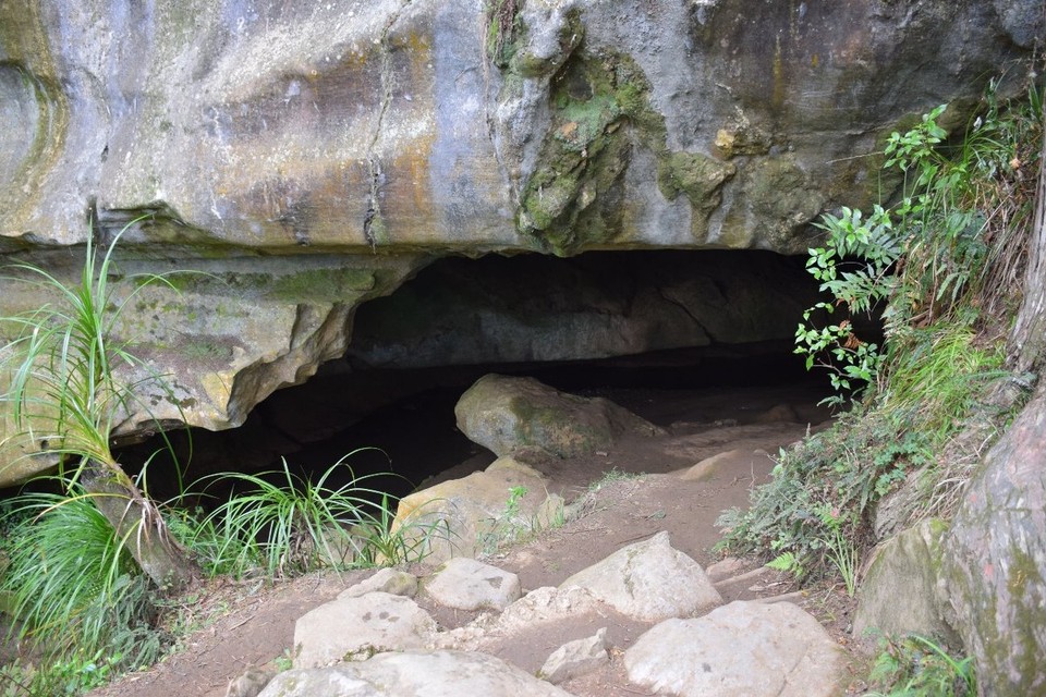 Neuseeland - Waipu - Der Eingang in die Höhle 