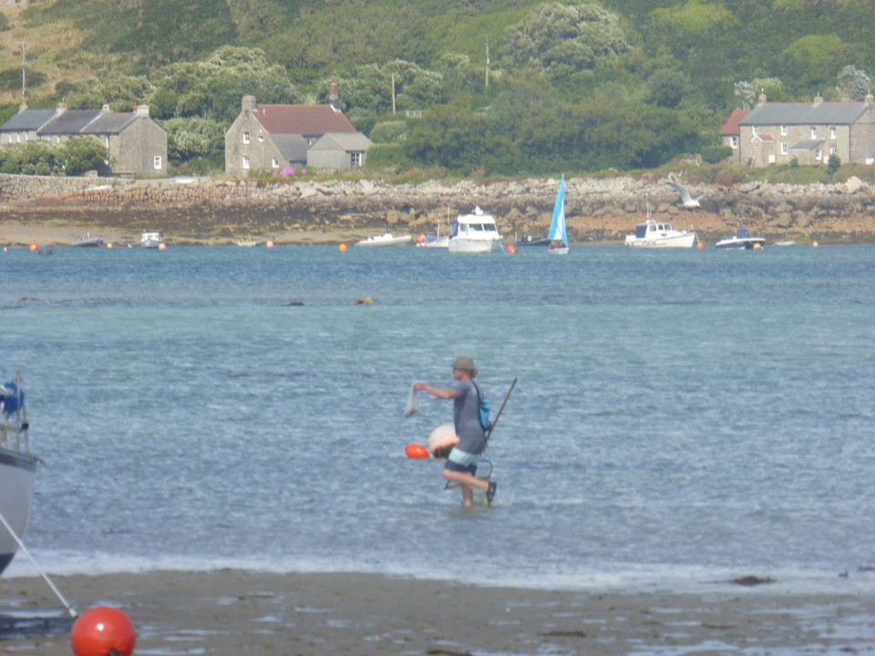 United Kingdom - Isles Of Scilly - Shrimping for their supper.  There were a number of people out wading through the shallow water.
