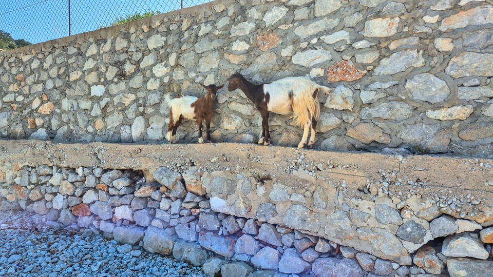 Griechenland - Symi - Bewohner Bucht Marathunda.