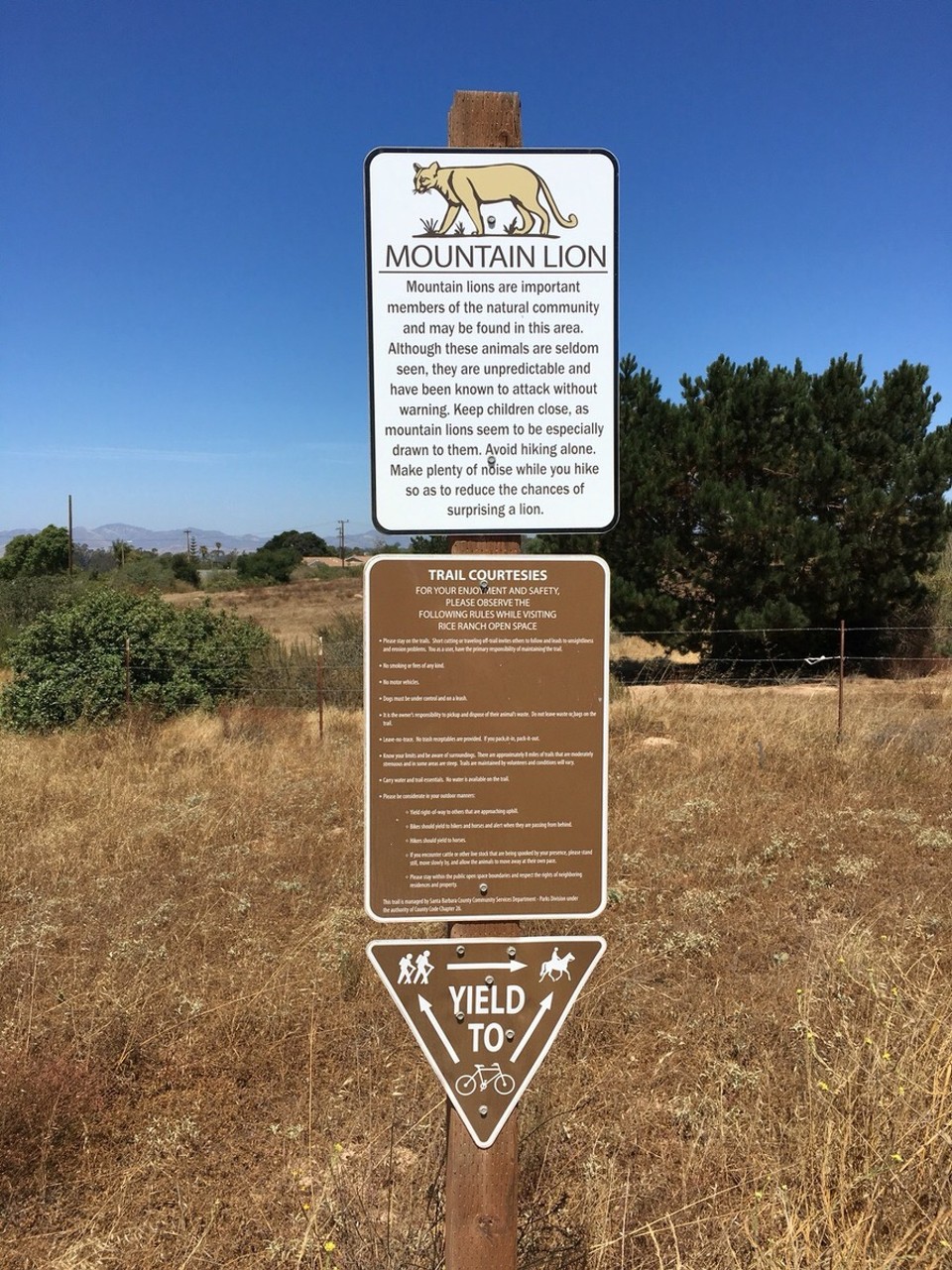  - Vereinigte Staaten, La Cañada Flintridge - Oh und es ist iwie ein bisschen gefährlicher - alleine laufen darf man nur wenn man immer aufmerksam ist - also zumindest wenn man das Schild liest 