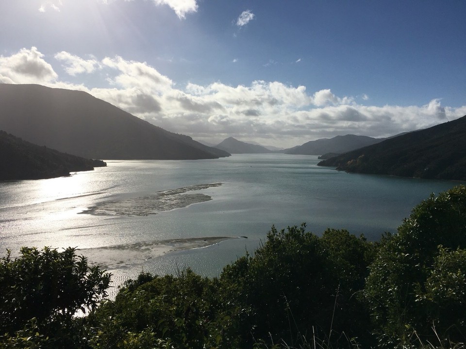 New Zealand - Picton - Sowas sieht man wenn man abseits von der Straße ein bisschen laufen geht 