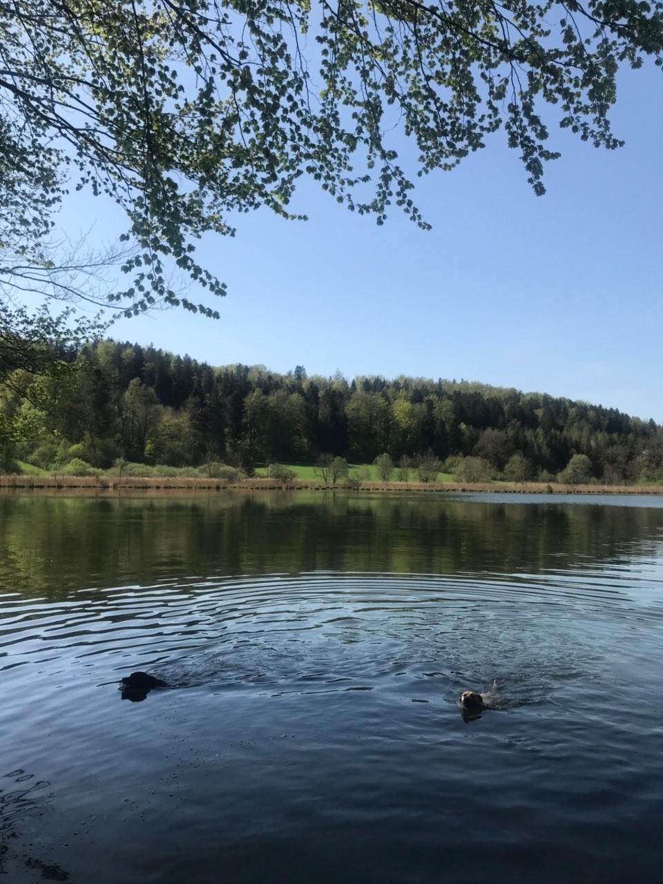Deutschland - Pforzheim - 