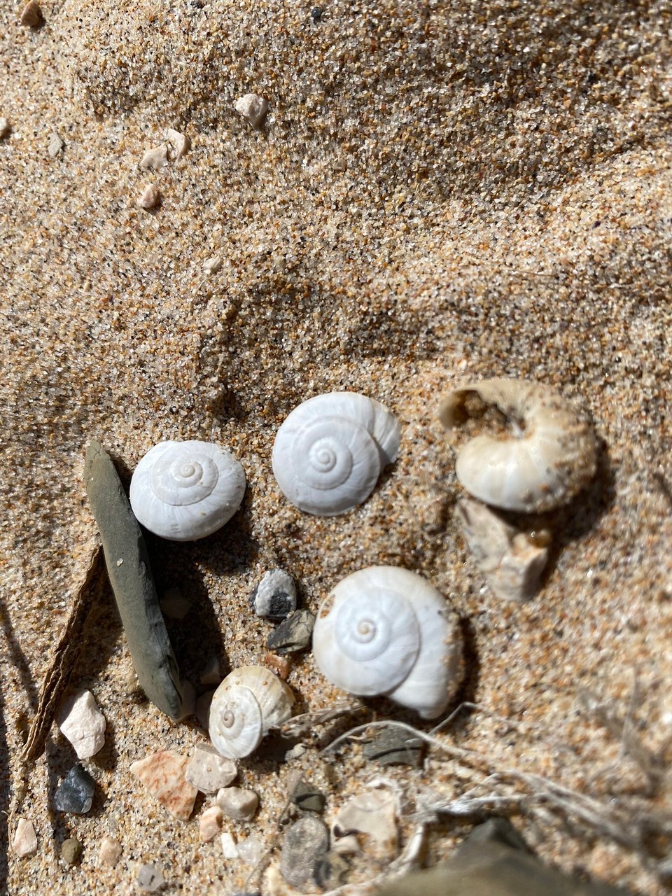 Portugal - Aljezur - 