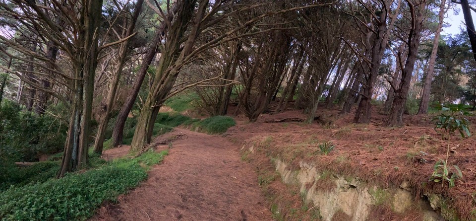 Neuseeland - Wellington - 