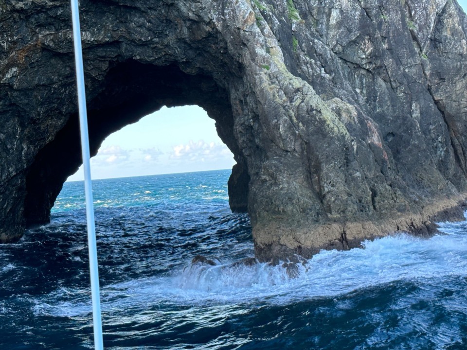 Neuseeland - Paihia - fahren wir jetzt durch oder nicht?