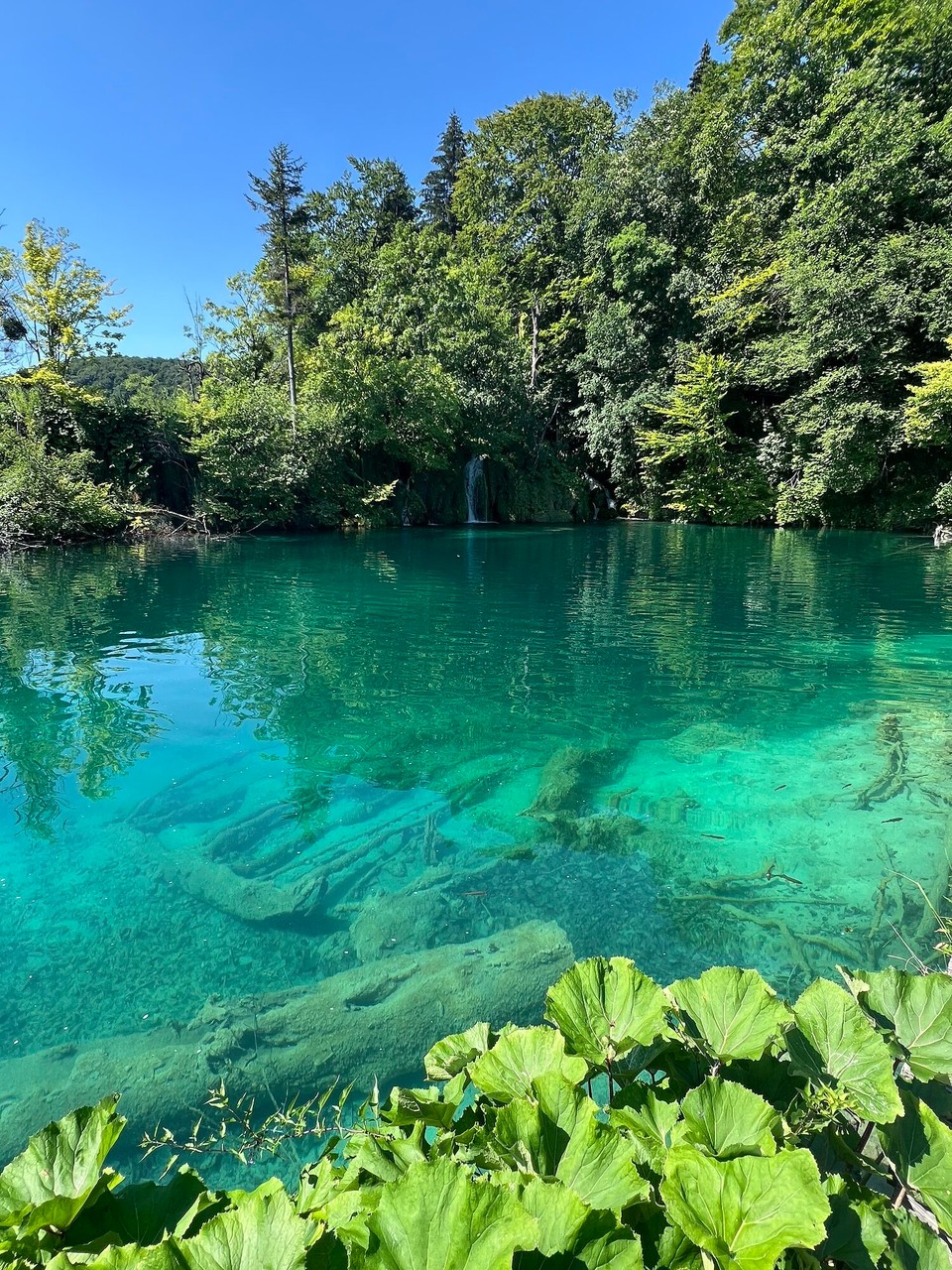 Kroatien - Plitvička Jezera - 