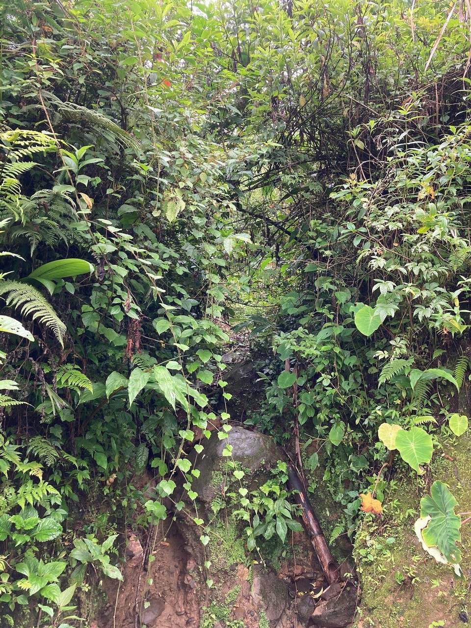 Vietnam - Sa Pa - 