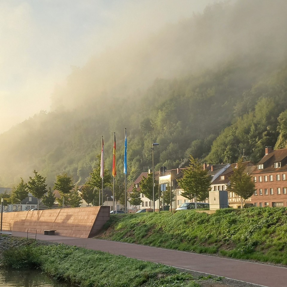 Deutschland - Miltenberg - Der Nebel verschwindet, die Sonne kommt.