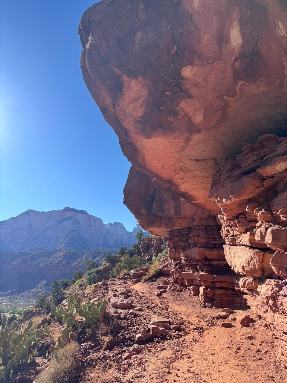 Vereinigte Staaten - Hurricane - Am Obig hemmer denn no de Watchman Trail gmacht. Das sind öbbe 5km gsi uf en Hügel ufe. D‘Ussicht esch mega schön gsi und au de Wäg ufe und abe hed üs mega guet gfalle.😊