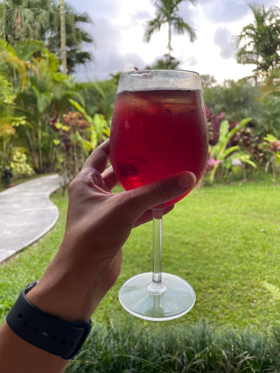 Costa Rica - San Carlos - Ein Glas Sangria… 🍷 