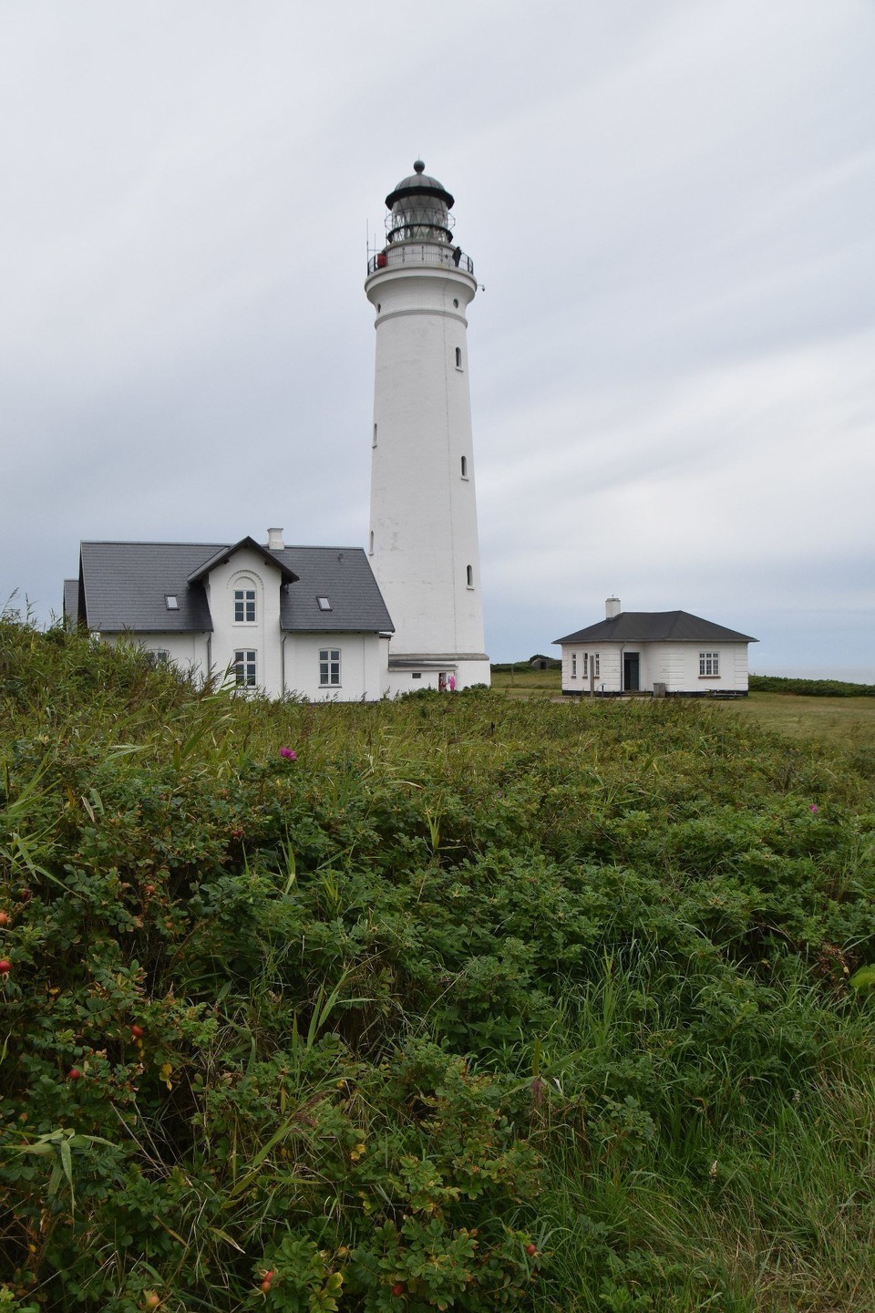 Dänemark - Hirtshals - 