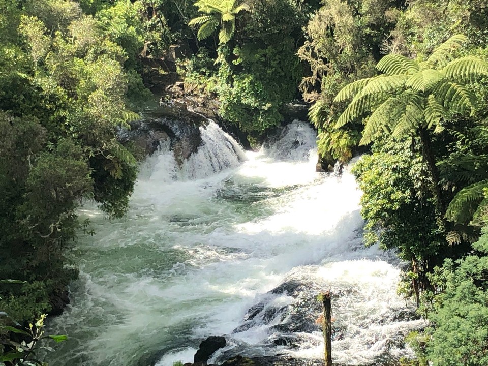 Neuseeland - Waihi Beach - Kaituna River
