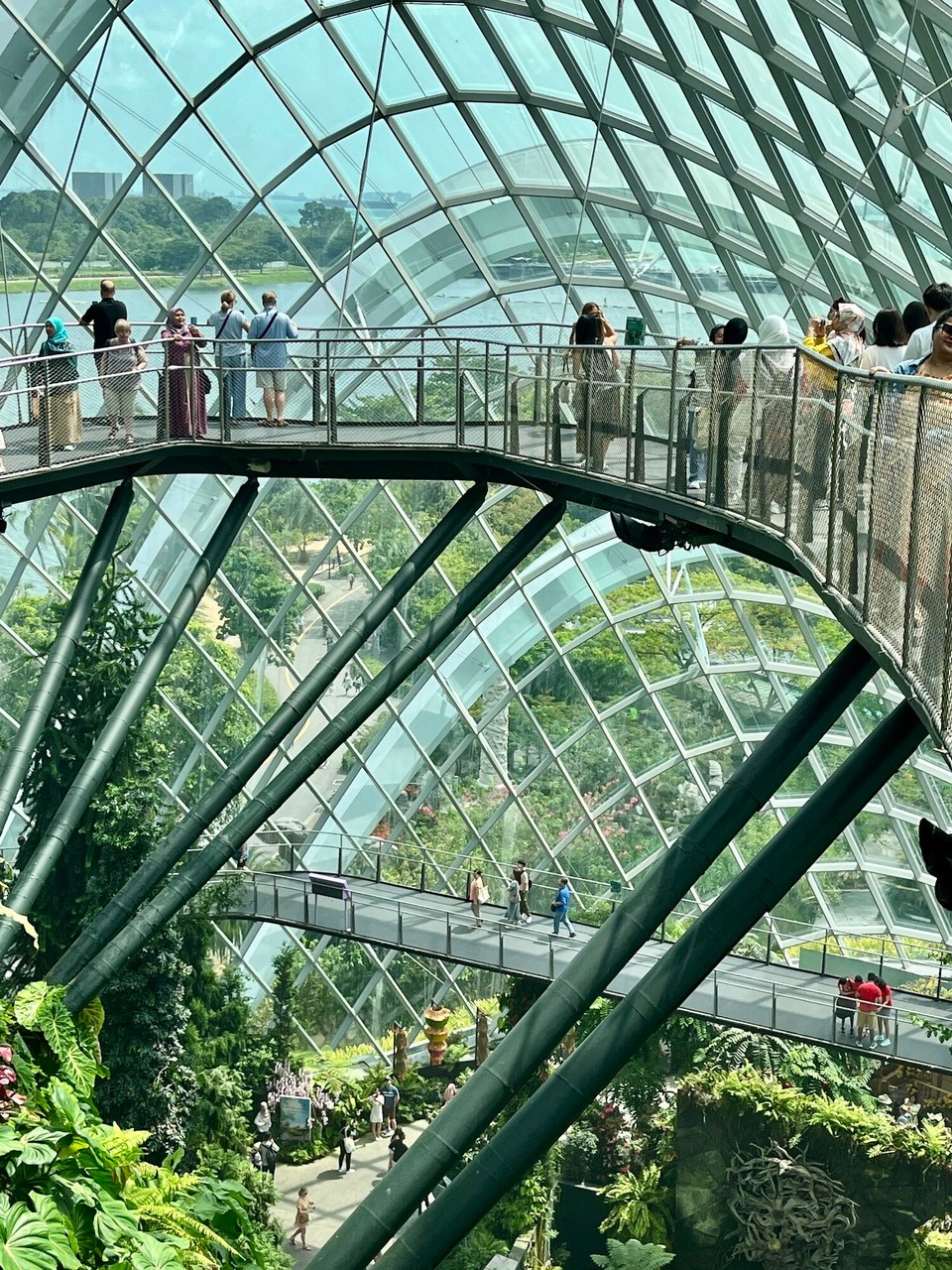 Singapur - Singapur - Cloud Forest Singapur der blanke Wahnsinn sowohl vom Bauwerk als auch von der Ausstellung bis hin zum Nebelwald