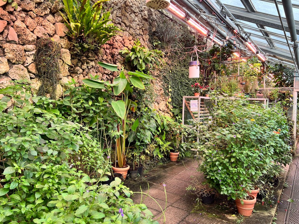 Dänemark - København K - Sommerfuglehus 🦋