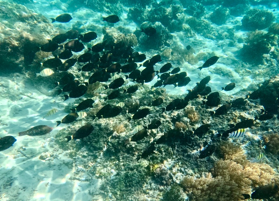 Indonesien - Kabupaten Lombok Utara - 
