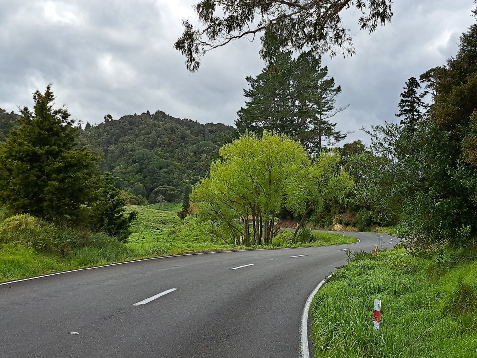 Neuseeland - Mangamuka - Heute ging es lange der Straße entlang 