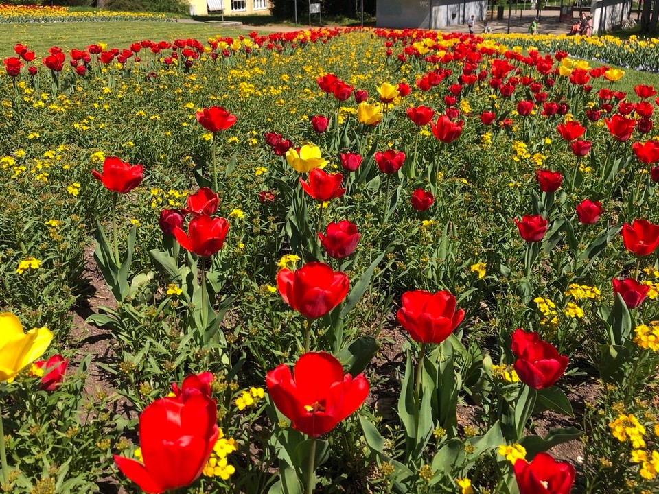 Deutschland - Stuttgart - 