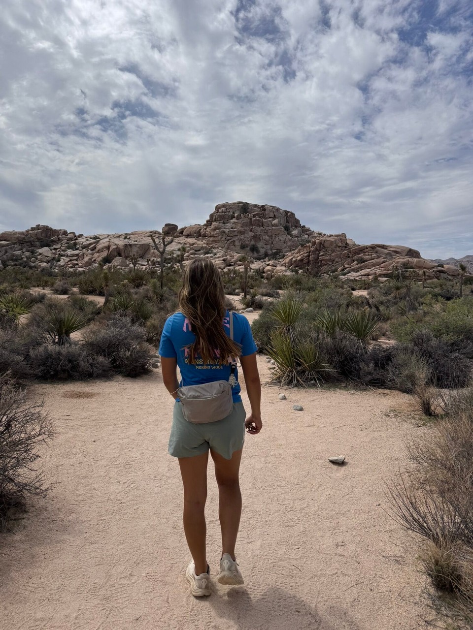 Vereinigte Staaten - Joshua Tree - 