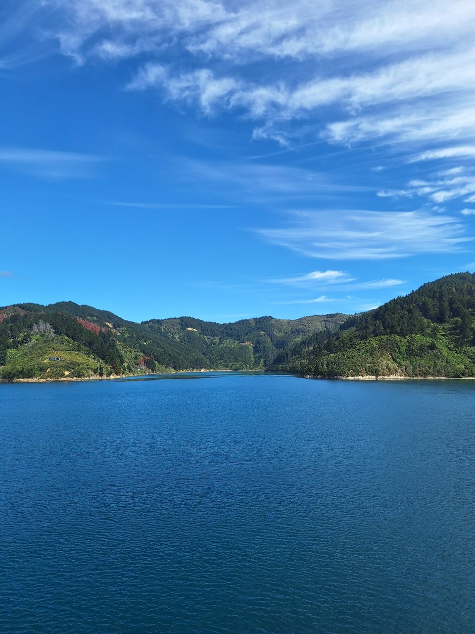 Neuseeland - Picton - 