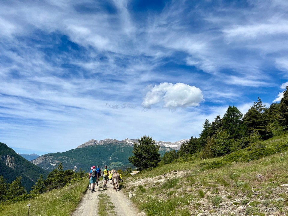 Frankreich - Arvieux - 