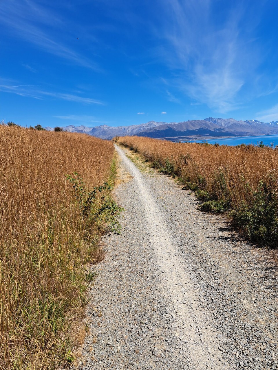 Neuseeland - Twizel - 